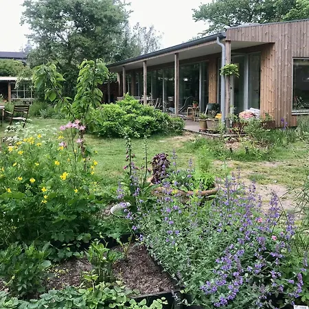 Architect-designed Wooden House Near