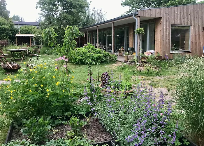 Architect-designed Wooden House Near